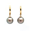 Gorgeous Cortez Pearls on 14K Yellow Gold Earrings